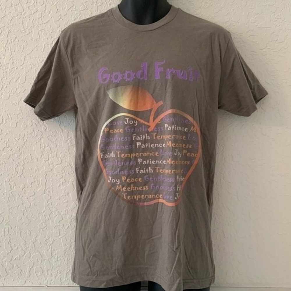 Fruit of the Spirit Tshirt Adult L Gray Short Sleeve Cotton Christian Religious